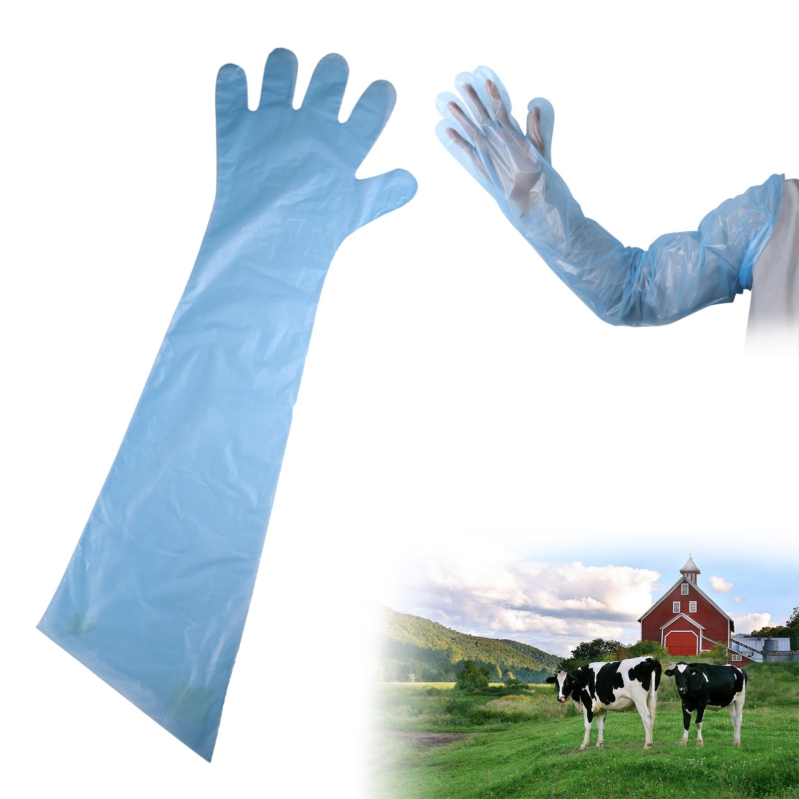 Bavooty Long Sleeve Veterinary Gloves,for Veterinary Insemination Rectal,Gloves for Livestock Insemination,Cow Palpation Gutting Gloves,Household Cleaning,90cm,30 pcs,Light Blue