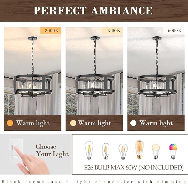 QIANZHAN 4-LIGHT FARMHOUSE CHANDELIER, 20″ BLACK LIGHT FIXTURE WITH GLASS SHADE MODERN DRUM LIGHTING FIXTURES CEILING PENDANT LAMP FOR DINING ROOM KITCHEN ISLAND ENTRANCE FOYER LIVING ROOM BEDROOM