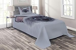 Ambesonne Animal Coverlet, Portrait Image of Thai Siamese Cat with Retro Style Lettering Artwork, 2 Piece Decorative Quilted Bedspread Set with 1 Pillow Sham, Twin Size, Blue Grey