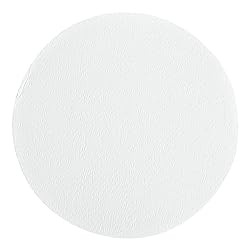 Whatman 7404-001 White Nylon Membrane Filter, 13mm