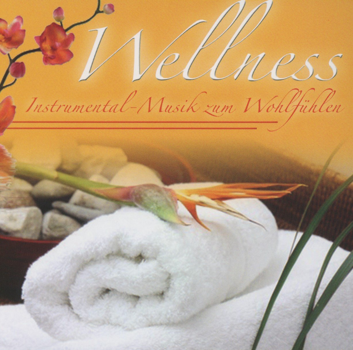 WellnessMusik Zum Wohlfühlen Vol.2 Amazon.de Musik