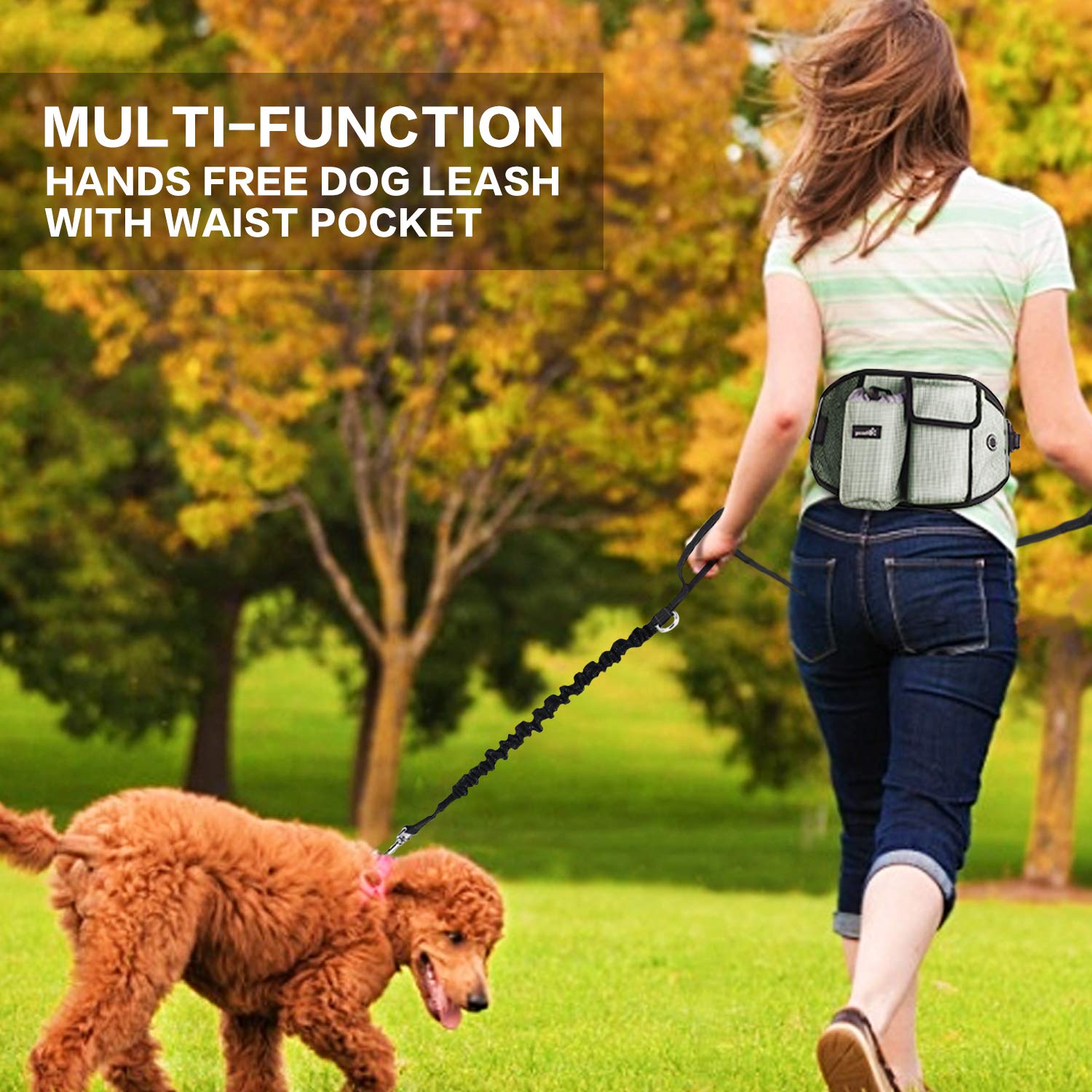 Pecute Hands Free Dog Leash with Pouch, Comfortable Shock Absorbing Reflective Bungee Dog Walking & Training Leash Great for Medium & Large Dogs up to 220lbs