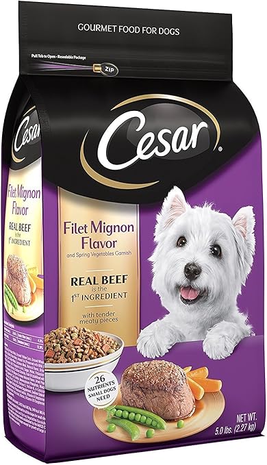cesar hard dog food