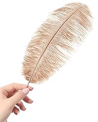 VIJIV Natural Large Ostrich Feathers Bulk 10 Pieces