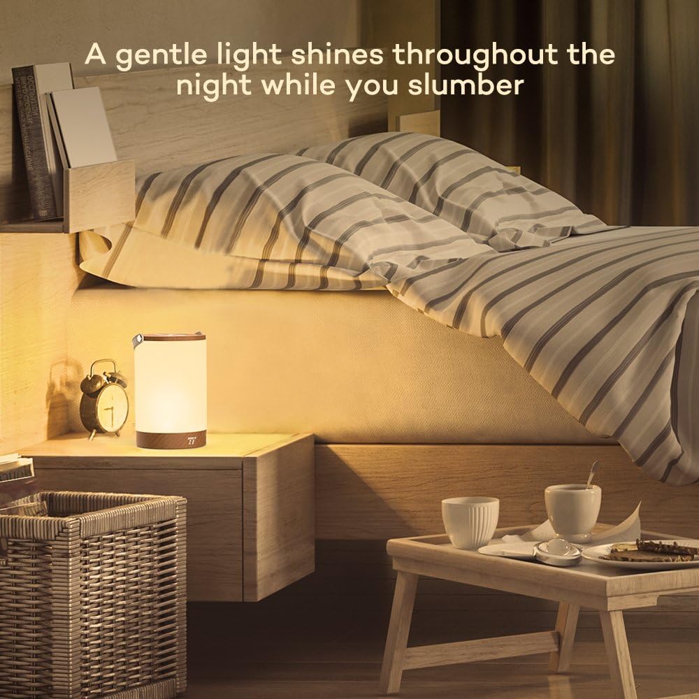 taotronics rechargeable lamp