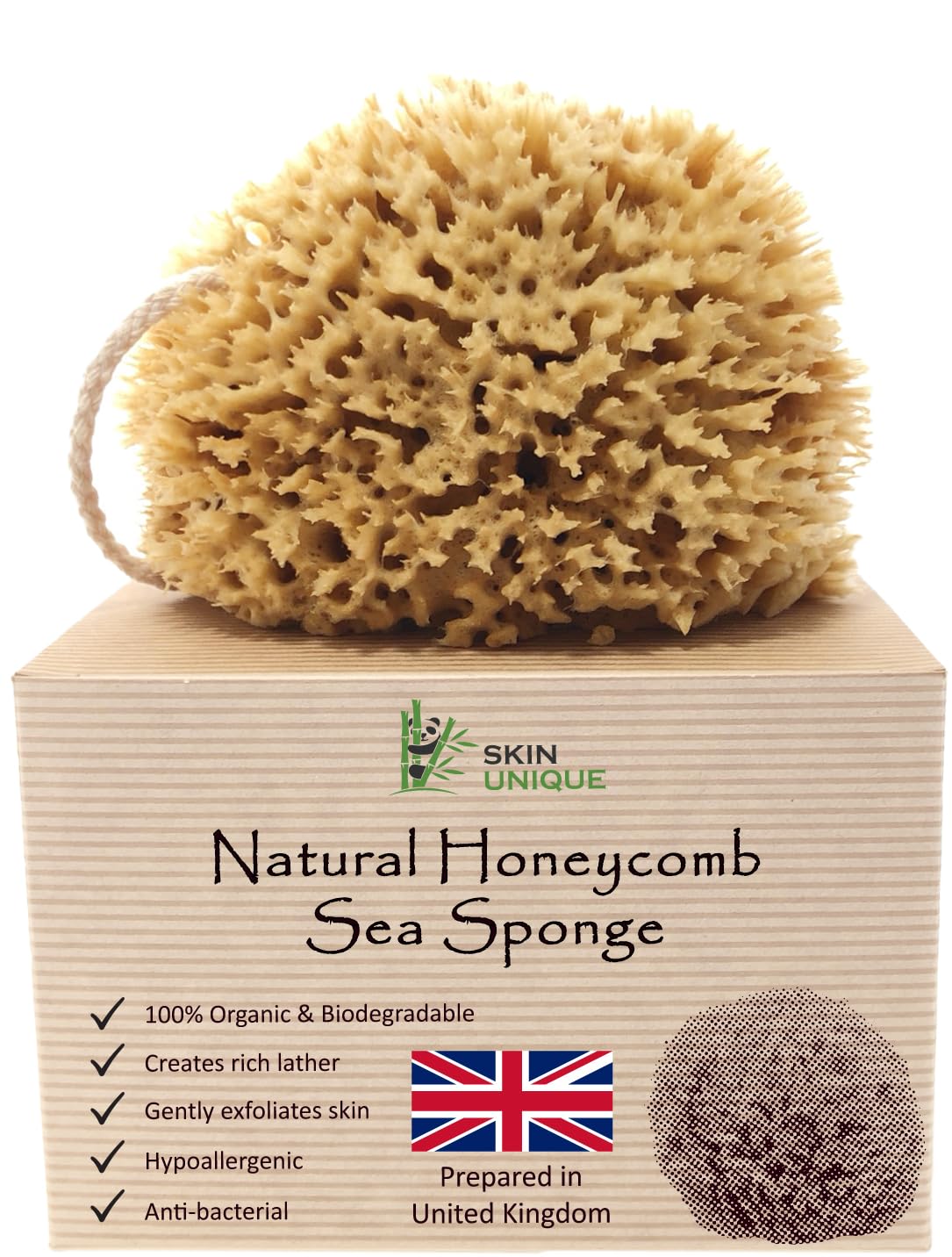 Skin Unique Mediterranean Natural Sea Sponge in Gift Box - Unbleached Honeycomb, Strong, Durable - 100% Organic, Hypoallergenic - Children and Adults - Bath, Exfoliating, Cleansing, Pets (Medium)
