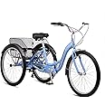 Schwinn Meridian