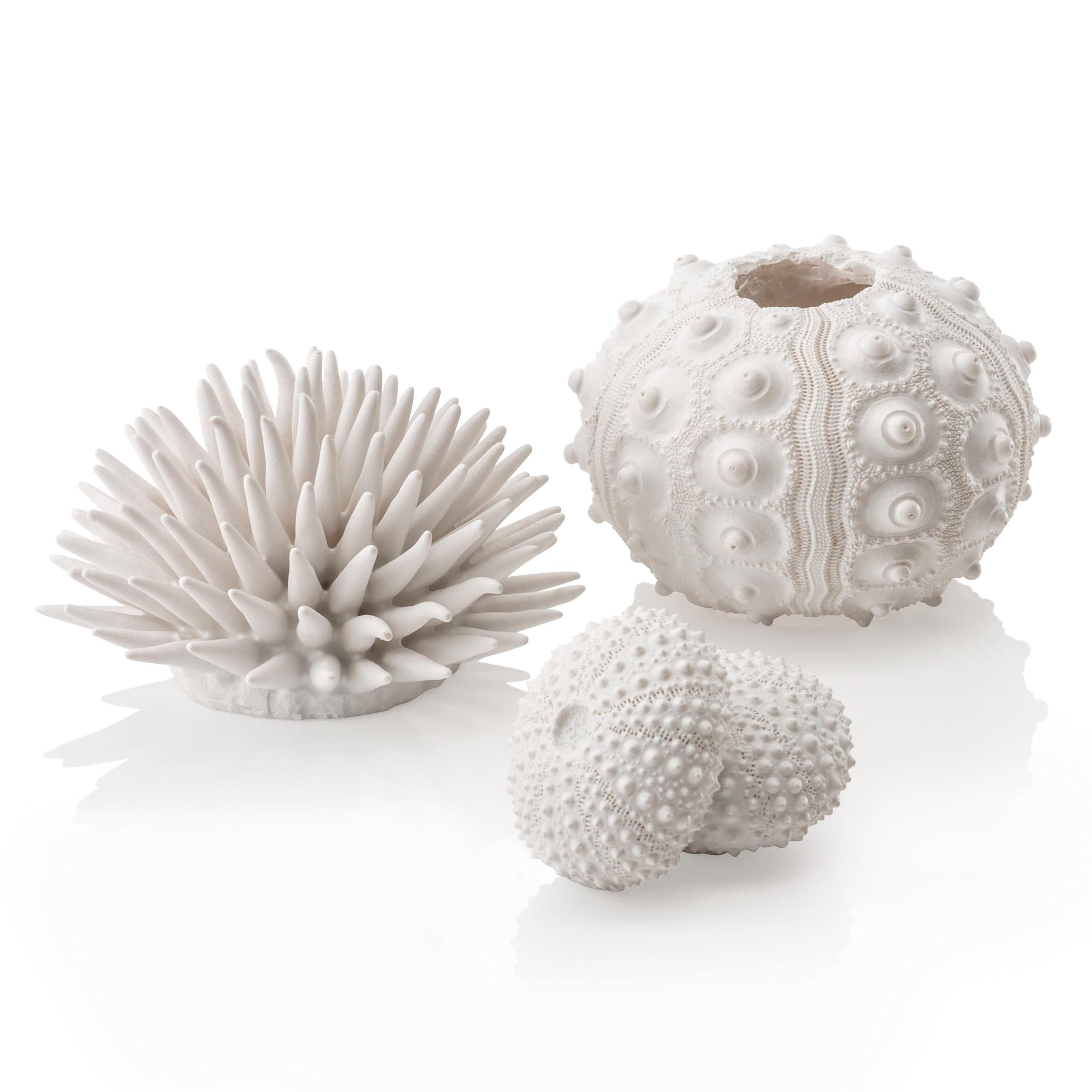 biOrb Fish Tank Decorations, Sea Urchin Aquarium Ornament Set (3 x White), Beautiful Detailed Artificial Fish Tank Accessories To Add Colour, Natural-Looking Aquarium Decor For Scenic Background