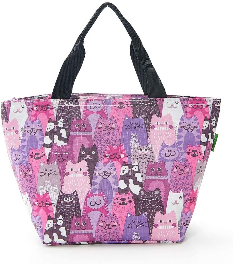 chic lunch bags for adults