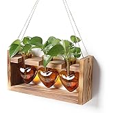 Plant Terrarium Propagation Stations Hydroponics Home Garden Decoration Gift for Women with Wooden Stand Heart Shaped Colored Glass Vase