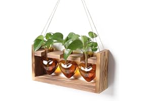MTSIGNS Plant Terrarium Propagation Stations Hydroponics Home Garden Decoration Gift for Women with Wooden Stand Heart Shaped Colored Glass Vase