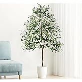 Olive Trees Artificial Indoor, 6FT Faux Olive Tree with Black Planter, Tall Fake Tree with Artificial Moss Natural Trunk Realistic Fruits for Home Office Decor Indoor