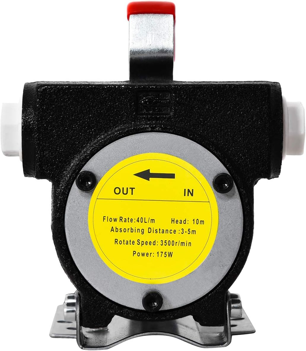 Goplus Electric Fuel Pump 12V 10GPM Diesel Bio Kerosene Oil Transfer Extractor: Automotive