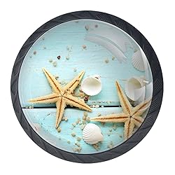 4 Pcs 35mm Seashell Starfish On Teal Wooden
