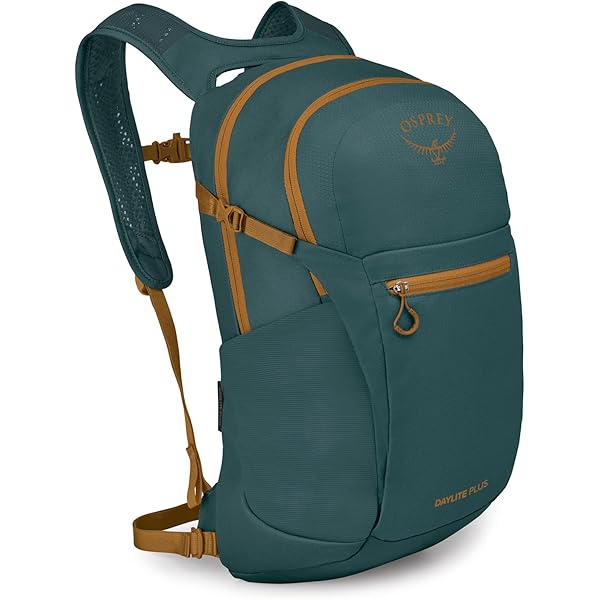 Amazon.com : Osprey Daylite Plus Commuter Backpack – Lightweight