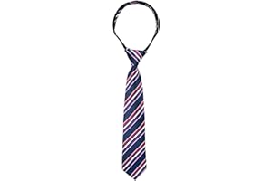 Spring Notion Boys' Pre-tied Woven Zipper Tie