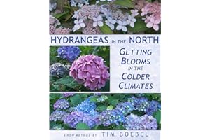 Hydrangeas in the North: Getting Blooms in the Colder Climates