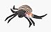 Ty Beanie Babies Spinner the Spider (Bugs and Insects) 5
