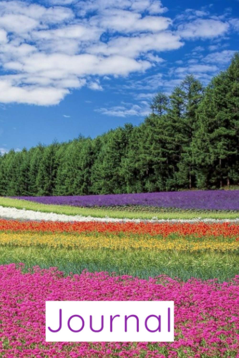 A Field of Flowers and Dreams: Journal and Notebook: Blank lined Journal and notebook for Women/ Teenage girls/ Girls of all ages to write in (6" x 9")