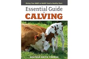 Essential Guide to Calving: Giving Your Beef or Dairy Herd a Healthy Start