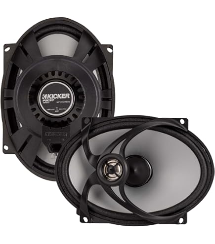 Amazon.com: Kicker 51PSC652 PSC65 6.5-Inch PowerSports Weather
