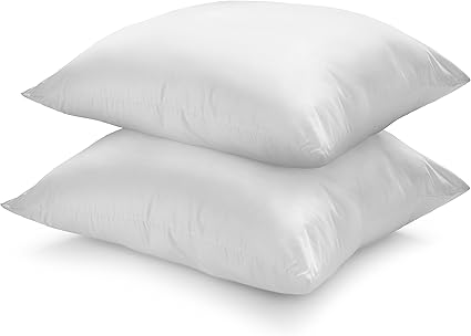 Lot de 2 oreillers 65x65 Clearance