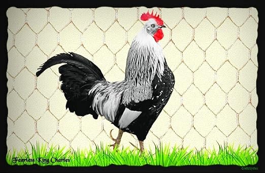 Amazon Com Charles El Gallo Decoracion De Pared Rustico