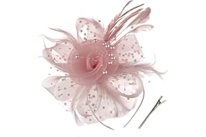 QIYIFAN Women's Feather Mesh Flower Fascinator with Headband and Clip Wedding Tea Party Fascinator Hats for Ladies