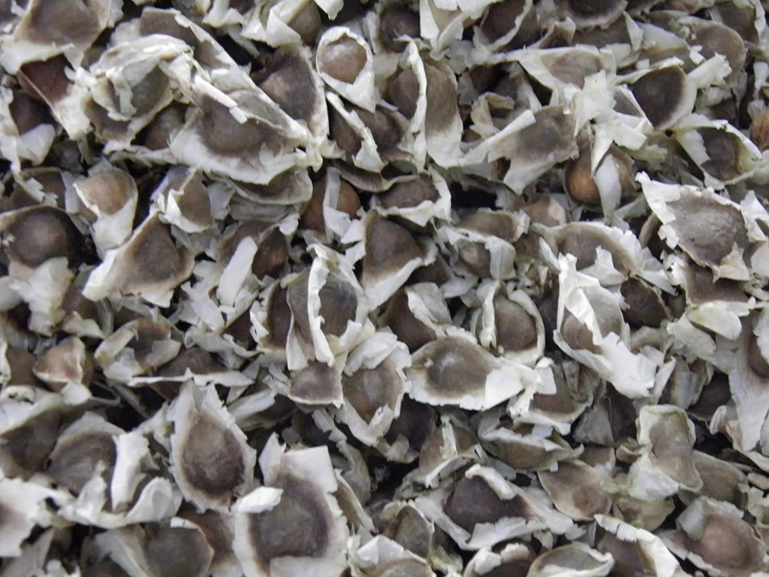 Yogi’s Gift, Grey,White, 250 g (Pack of 1) - Image 4