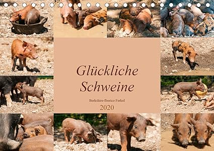 Get Glueckliche schweine For iPhone Free Glueckliche Schweine