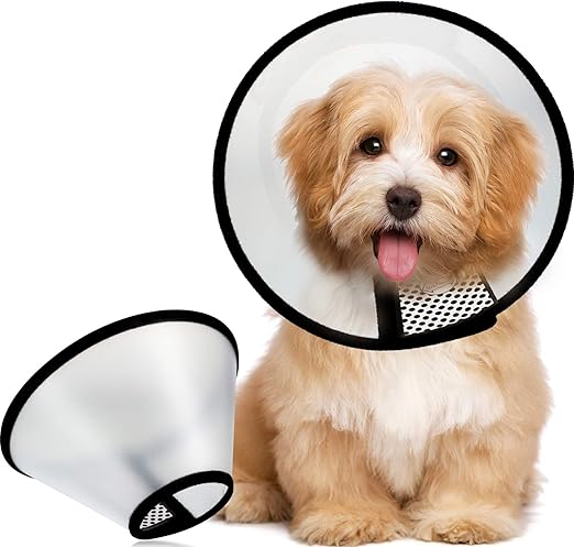 rabbit elizabethan collar