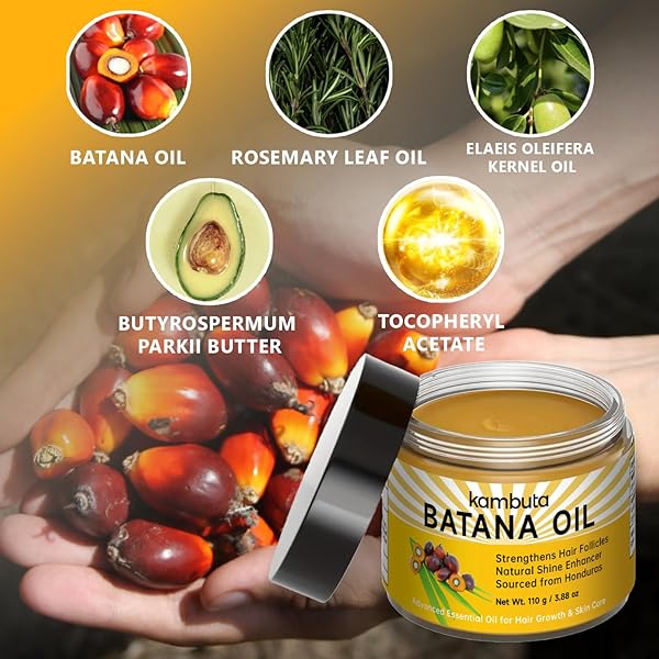 BATANA OIL ORGANIC FOR HAIR GROWTH: NATURAL BATANA OILS FROM HONDURAS HAIR TREATMENT FOR HAIR LOSS – HAIR REGROWTH MOISTURIZER MASKS GROWTH AND THICKNESS COLD PRESSED BATANA OILS FOR WOMEN MEN (1PCS)