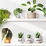 Buioata Auntie Gifts Succulent Planters Set Three Ceramic Pots view 7