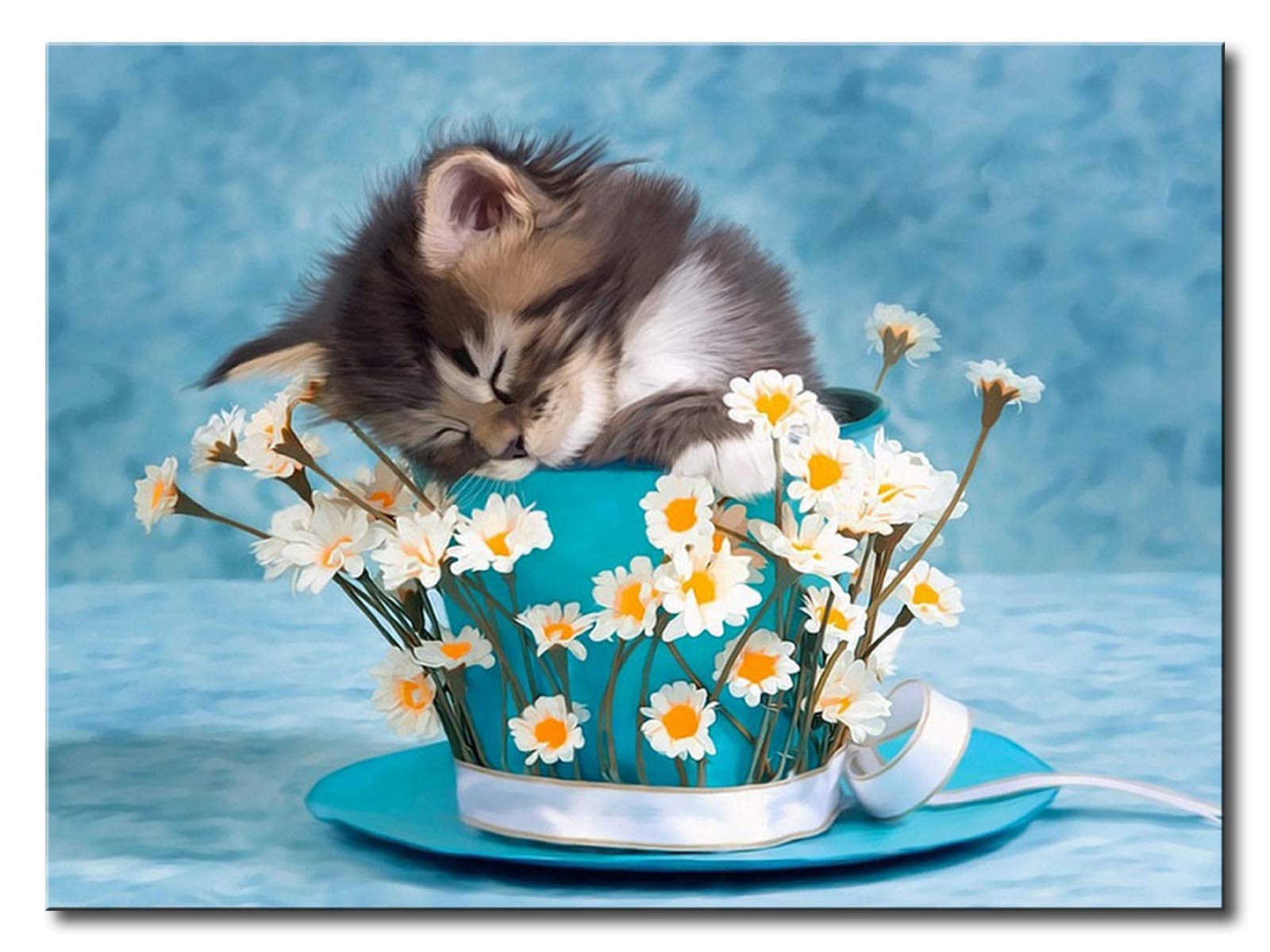 Shukqueen Cat Painting by Numbers, DIY Oil Painting for Adults Beginner's, 16X20 Inch, Frameless