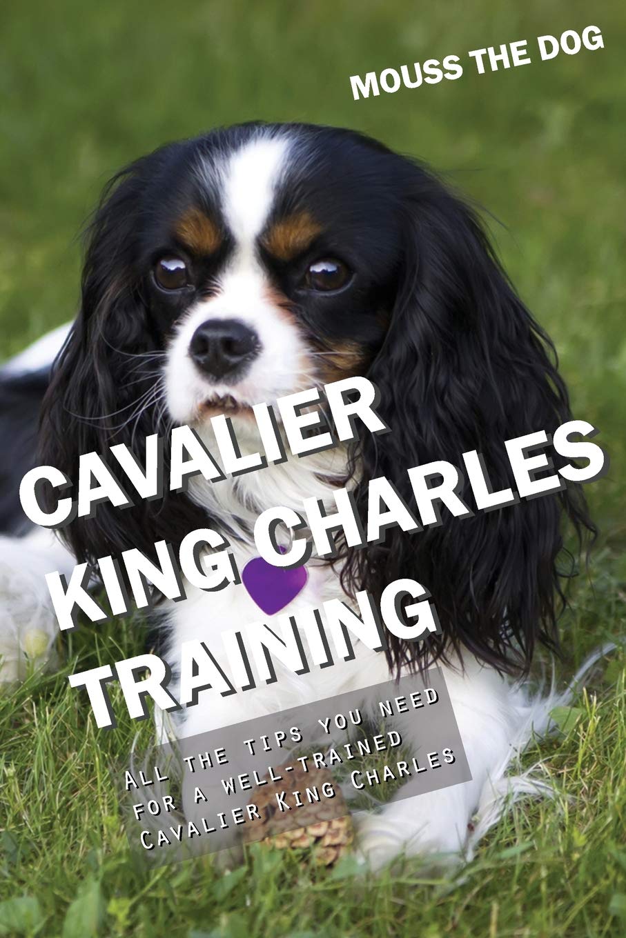 king charles spaniel training