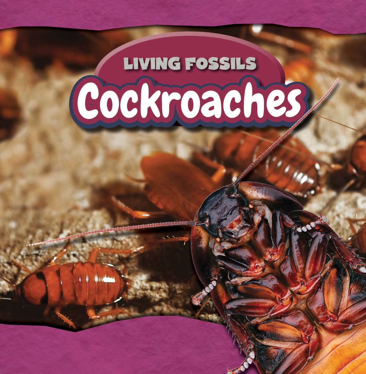 Cockroaches (Living Fossils, 5 