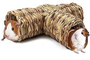 BWOGUE Hamster Grass Tunnel Toy Nature's Hideaway Guinea Pig Tunnels and Tubes Toys for Rats,Syrian Hamster,Ferrets,Guinea Pig,Chinchilla Hedgehog and Bunny