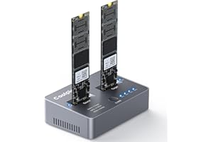 M.2 NVME/SATA Duplicator, Dual-Bay Offline Clone M.2 NVME/SATA Docking Station,USB3.2 Gen2*2 20Gbps M.2 Cloner for SSD Size 2