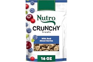 Nutro Crunchy Dog Treats with Real Mixed Berries, 16 oz. Bag