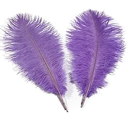 Lampu 10pcs Ostrich Feathers 12-14