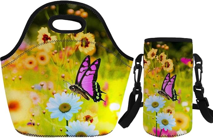 cute girly lunch boxes