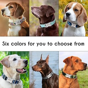 beagle collars with name plates