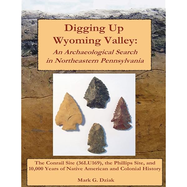 Amazon.com: Archaeological and Paleoenvironmental Investigations