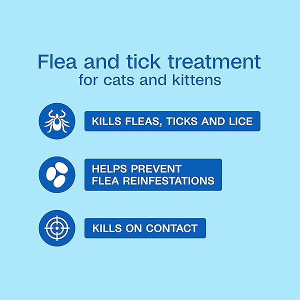 ADAMS PLUS FLEA & TICK FOAMING SHAMPOO & WASH FOR CATS & KITTENS OVER 12 WEEKS, SENSITIVE SKIN FLEA TREATMENT FOR CATS & KITTENS, KILLS ADULT FLEAS, TICKS AND LICE ON CONTACT, 10 OUNCES