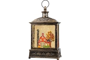VISFLAIR 12.5'' Lighted Turkey Fall Snow Globe, Thanksgiving Snow Water Lantern Swirling Glittering Home Decoration and Gift, Battery Operated or USB Powered