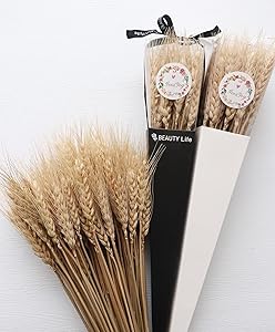 Dried Wheat Stalks, 100 Stems Natural Wheat Sheaves for Home Kitchen Wedding Decor, Wheat Bouquet Bundle Flower (11.5~12 in)