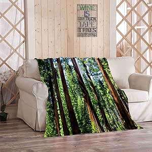 park blanket amazon