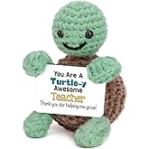 Mini Funny Turtle Teacher Valentine Day Gift for Women Men, End of Year Thank You Teacher Appreciation Gifts Ideas In Bulk, Personalized Cool Small Cute Stuff Things, Daycare Music Teachers Must Have