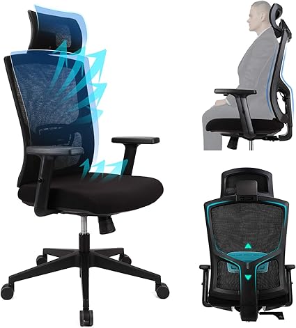 Ergousit Ergonomic Office Chair - High Back Desk Chair with Adjustable Lumbar Support &Thick Seat Cushion
