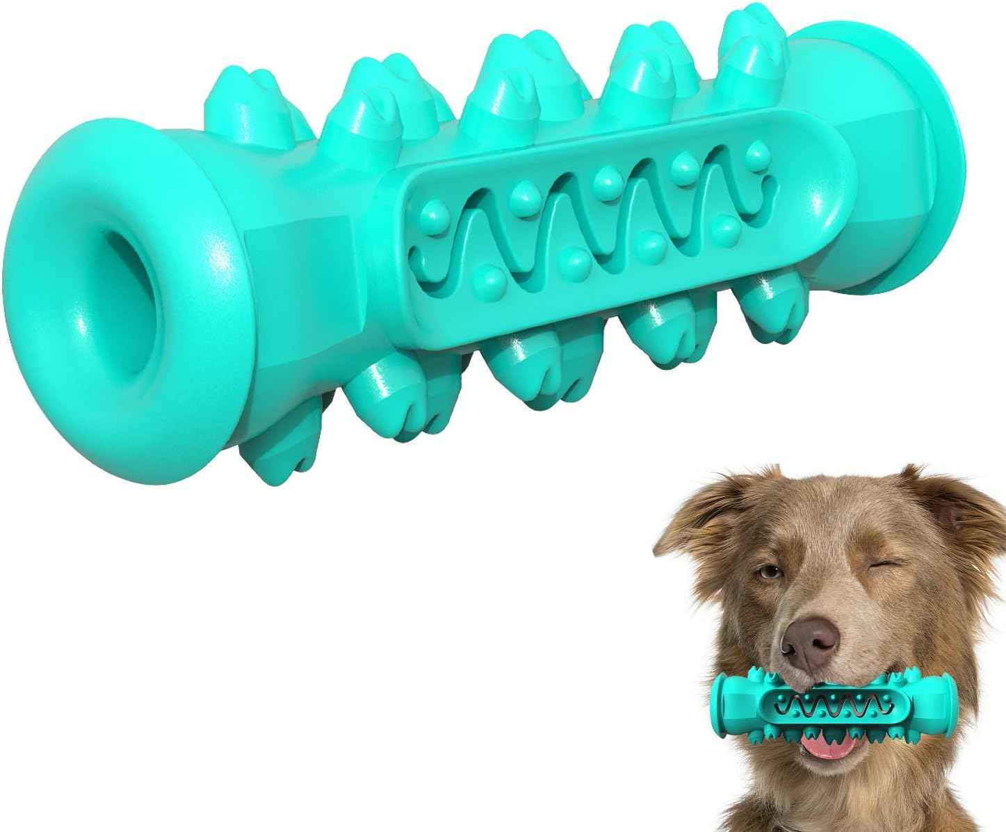 dog dental toy